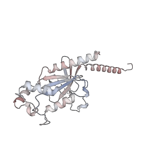 36736_8jz7_D_v1-0
Cryo-EM structure of MK-6892-bound HCAR2 in complex with Gi protein