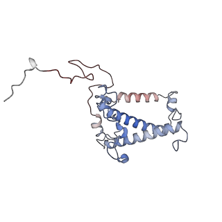 36742_8jze_G_v1-0
PSI-AcpPCI supercomplex from Symbiodinium