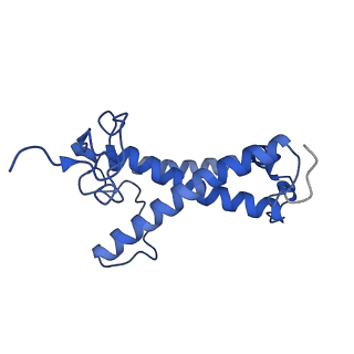 36742_8jze_K_v1-0
PSI-AcpPCI supercomplex from Symbiodinium