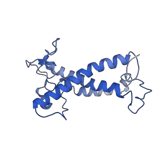 36742_8jze_L_v1-0
PSI-AcpPCI supercomplex from Symbiodinium