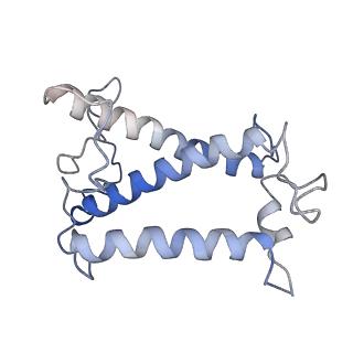 36742_8jze_M_v1-0
PSI-AcpPCI supercomplex from Symbiodinium