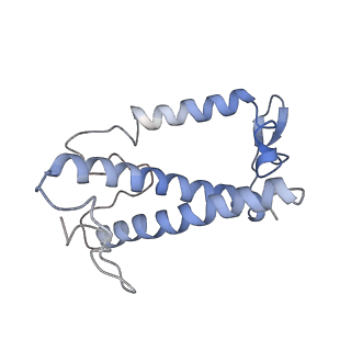 36742_8jze_O_v1-0
PSI-AcpPCI supercomplex from Symbiodinium