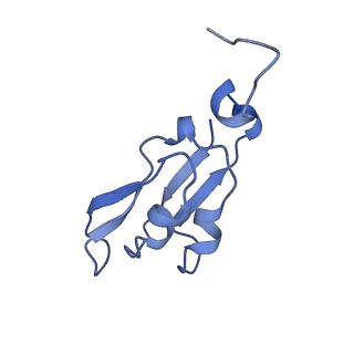 36742_8jze_c_v1-0
PSI-AcpPCI supercomplex from Symbiodinium