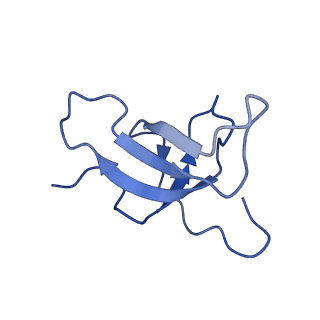 36742_8jze_e_v1-0
PSI-AcpPCI supercomplex from Symbiodinium