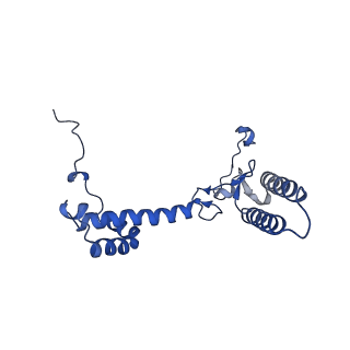 36742_8jze_f_v1-0
PSI-AcpPCI supercomplex from Symbiodinium