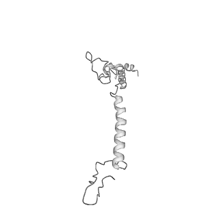 36742_8jze_y_v1-0
PSI-AcpPCI supercomplex from Symbiodinium