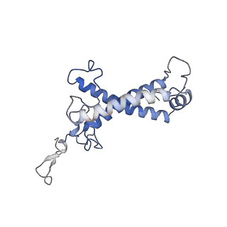 36743_8jzf_B_v1-0
PSI-AcpPCI supercomplex from Symbiodinium