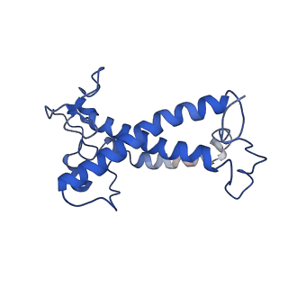 36743_8jzf_L_v1-0
PSI-AcpPCI supercomplex from Symbiodinium