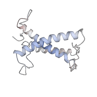 36743_8jzf_N_v1-0
PSI-AcpPCI supercomplex from Symbiodinium