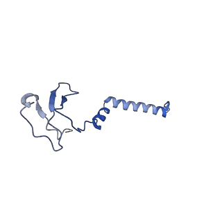 36743_8jzf_j_v1-0
PSI-AcpPCI supercomplex from Symbiodinium