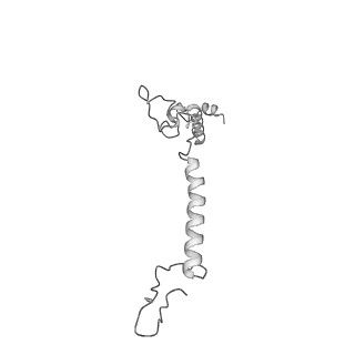 36743_8jzf_y_v1-0
PSI-AcpPCI supercomplex from Symbiodinium