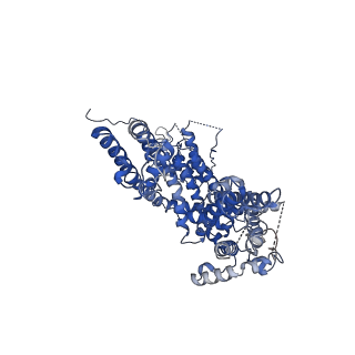 9898_6jzo_A_v1-1
Structure of the mouse TRPC4 ion channel