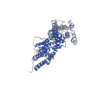 9898_6jzo_B_v1-1
Structure of the mouse TRPC4 ion channel