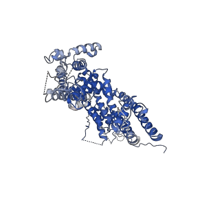 9898_6jzo_C_v1-1
Structure of the mouse TRPC4 ion channel