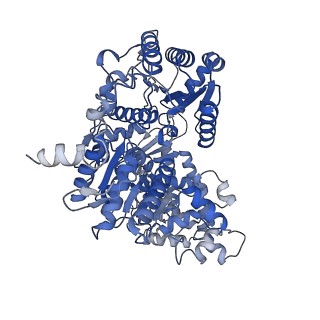 22587_7k01_0_v1-0
Structure of TFIIH in TFIIH/Rad4-Rad23-Rad33 DNA opening complex