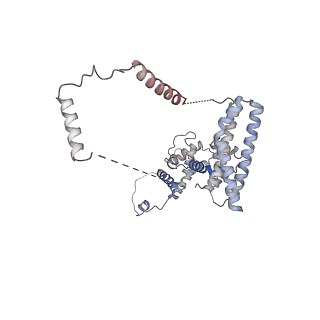 22587_7k01_1_v1-0
Structure of TFIIH in TFIIH/Rad4-Rad23-Rad33 DNA opening complex
