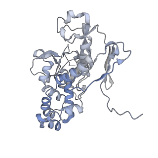 22589_7k08_A_v1-0
Cryo-EM structure of the nonameric EscV cytosolic domain from the type III secretion system