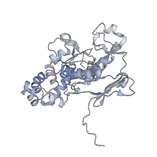 22589_7k08_B_v1-0
Cryo-EM structure of the nonameric EscV cytosolic domain from the type III secretion system