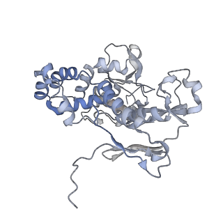 22589_7k08_C_v1-0
Cryo-EM structure of the nonameric EscV cytosolic domain from the type III secretion system