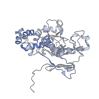 22589_7k08_C_v1-1
Cryo-EM structure of the nonameric EscV cytosolic domain from the type III secretion system