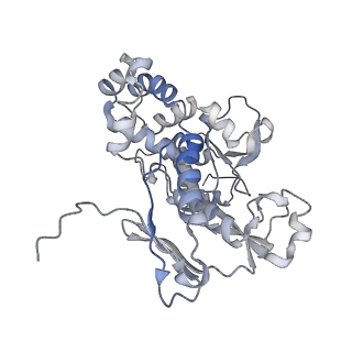22589_7k08_D_v1-0
Cryo-EM structure of the nonameric EscV cytosolic domain from the type III secretion system