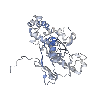 22589_7k08_D_v1-1
Cryo-EM structure of the nonameric EscV cytosolic domain from the type III secretion system