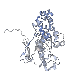 22589_7k08_E_v1-0
Cryo-EM structure of the nonameric EscV cytosolic domain from the type III secretion system