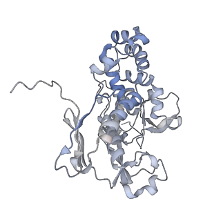 22589_7k08_E_v1-1
Cryo-EM structure of the nonameric EscV cytosolic domain from the type III secretion system