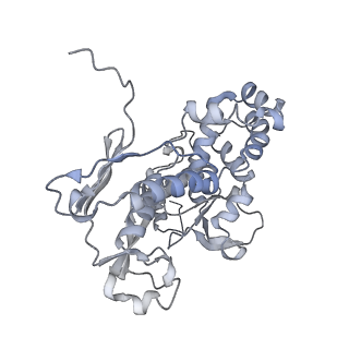 22589_7k08_F_v1-0
Cryo-EM structure of the nonameric EscV cytosolic domain from the type III secretion system
