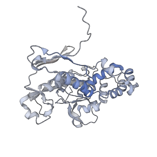 22589_7k08_G_v1-0
Cryo-EM structure of the nonameric EscV cytosolic domain from the type III secretion system