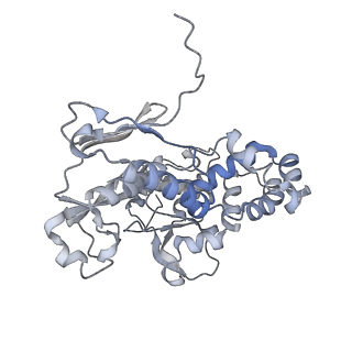 22589_7k08_G_v1-1
Cryo-EM structure of the nonameric EscV cytosolic domain from the type III secretion system