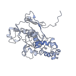 22589_7k08_H_v1-0
Cryo-EM structure of the nonameric EscV cytosolic domain from the type III secretion system