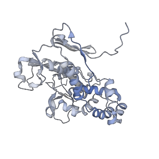 22589_7k08_H_v1-1
Cryo-EM structure of the nonameric EscV cytosolic domain from the type III secretion system