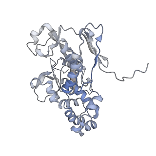 22589_7k08_I_v1-0
Cryo-EM structure of the nonameric EscV cytosolic domain from the type III secretion system