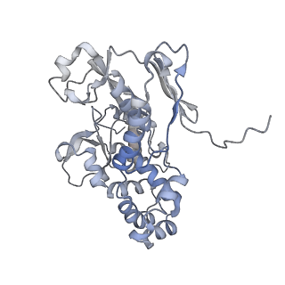 22589_7k08_I_v1-1
Cryo-EM structure of the nonameric EscV cytosolic domain from the type III secretion system