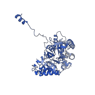 22598_7k0i_A_v1-1
Human serine palmitoyltransferase complex SPTLC1/SPLTC2/ssSPTa
