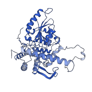 22598_7k0i_B_v1-1
Human serine palmitoyltransferase complex SPTLC1/SPLTC2/ssSPTa