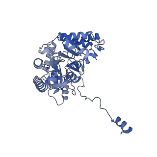 22598_7k0i_D_v1-1
Human serine palmitoyltransferase complex SPTLC1/SPLTC2/ssSPTa