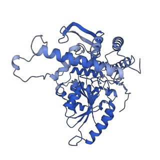 22598_7k0i_E_v1-1
Human serine palmitoyltransferase complex SPTLC1/SPLTC2/ssSPTa