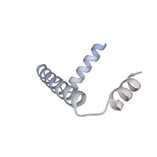 22598_7k0i_F_v1-1
Human serine palmitoyltransferase complex SPTLC1/SPLTC2/ssSPTa