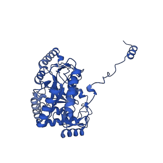 22599_7k0j_A_v1-1
Human serine palmitoyltransferase complex SPTLC1/SPLTC2/ssSPTa protomer