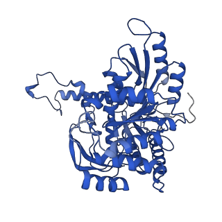 22599_7k0j_B_v1-1
Human serine palmitoyltransferase complex SPTLC1/SPLTC2/ssSPTa protomer