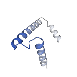 22599_7k0j_C_v1-1
Human serine palmitoyltransferase complex SPTLC1/SPLTC2/ssSPTa protomer
