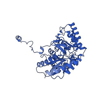 22600_7k0k_A_v1-1
Human serine palmitoyltransferase complex SPTLC1/SPLTC2/ssSPTa, 3KS-bound