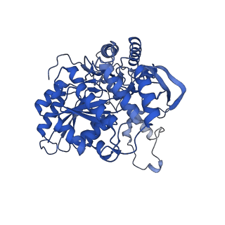 22600_7k0k_B_v1-1
Human serine palmitoyltransferase complex SPTLC1/SPLTC2/ssSPTa, 3KS-bound