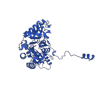 22601_7k0l_A_v1-1
Human serine palmitoyltransferase complex SPTLC1/SPLTC2/ssSPTa, myriocin-bound