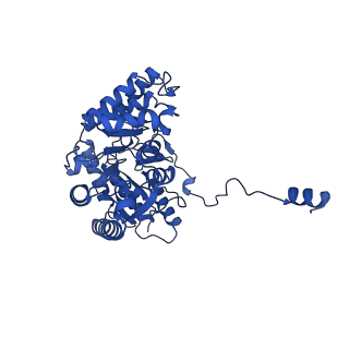 22601_7k0l_A_v1-2
Human serine palmitoyltransferase complex SPTLC1/SPLTC2/ssSPTa, myriocin-bound