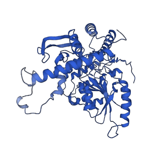 22601_7k0l_B_v1-1
Human serine palmitoyltransferase complex SPTLC1/SPLTC2/ssSPTa, myriocin-bound