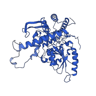 22601_7k0l_B_v1-2
Human serine palmitoyltransferase complex SPTLC1/SPLTC2/ssSPTa, myriocin-bound