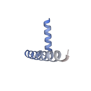 22601_7k0l_C_v1-1
Human serine palmitoyltransferase complex SPTLC1/SPLTC2/ssSPTa, myriocin-bound